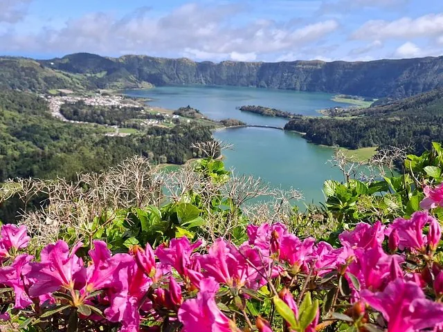Pink azalea flowers in the foreground with Sete Cidades lakes behind.